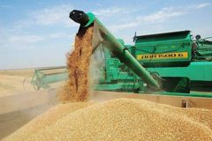 Челябинские предприниматели спасут российское зерно от травм